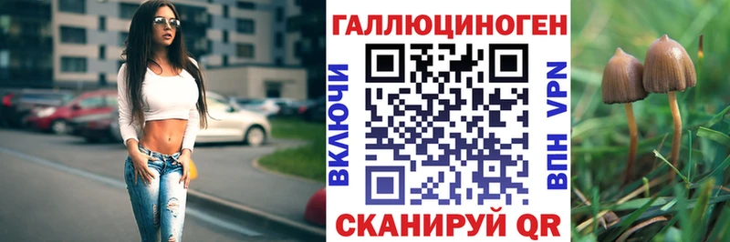 закладки  Тавда  Псилоцибиновые грибы Magic Shrooms 